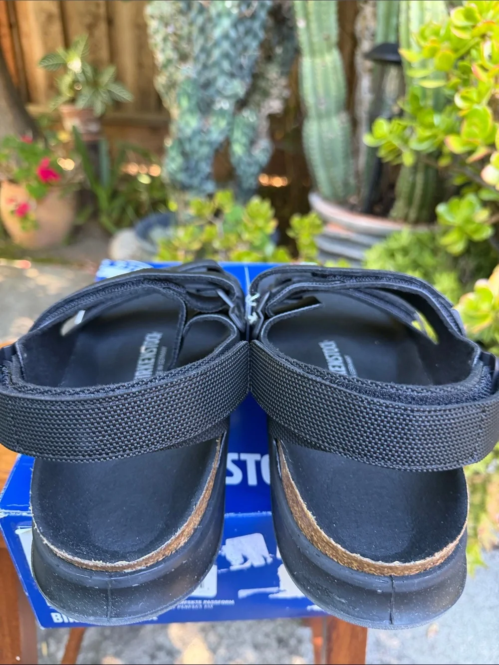 Birkenstock classic men